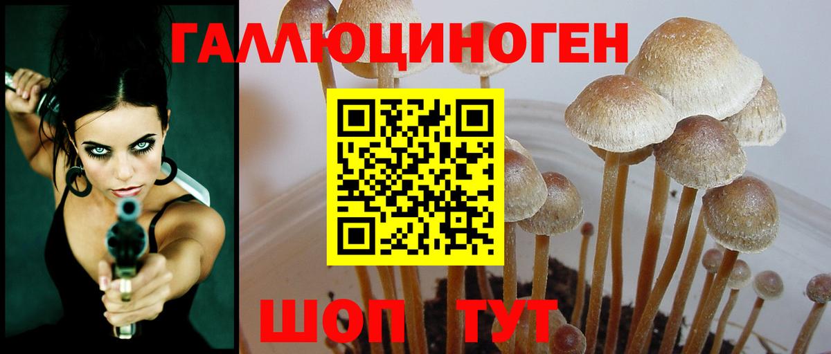Родники  Псилоцибиновые грибы мухоморы  Вход с VPN  Псилоцибиновые грибы Cubensis 